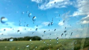 Найефективніші дощі випали на Вінниччині, Київщині, Львівщині та Сумщині, — науковці