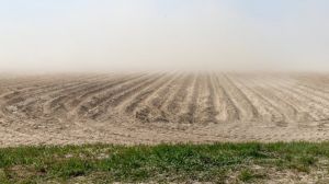 Білоруські аграрії потерпають через пилові бурі