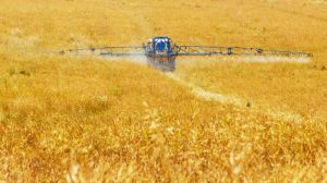 Європейські екологи виступили за скорочення використання пестицидів в сільському господарстві