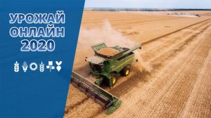 Жнива пшениці в Україні розпочато за середньої врожайності 2,2 т/га