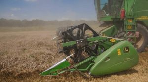 На Харківщині озвучили прогноз цьогорічного врожаю зерна