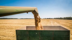 На Дніпропетровщині намолочено перший мільйон тонн зерна нового урожаю
