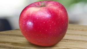 У Новій Зеландії вивели сорт яблук, стійкий до спеки і посухи