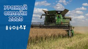 Агровиробники трьох областей України завершили збирання врожаю озимого ріпаку