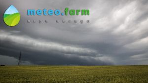 Протягом вихідних в Україні очікується зниження температури та грозові дощі — прогноз погоди