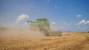 Недобір врожаю ранніх зернових на Вінниччині оцінюють в 400 тис. тонн