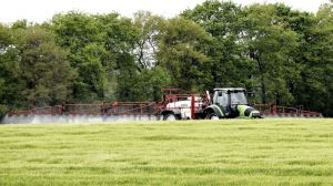 Через відсутність рішення про залишки пестицидів у зернових Україна ризикує втратити ринки ЄС та Індії — думка