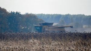 В Україні розпочато жнива соняшнику