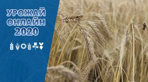 За результатами жнив ячменю найвищу врожайність зафіксовано на Львівщині