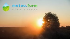 Початок осені в України видався спекотним та посушливим — Метео Фарм