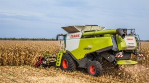 Половина аграріїв збирають кукурудзу за врожайності менше 5 т/га — результати опитування