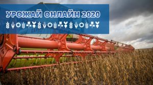 На старті збирання середня врожайність сої по Україні становить 2 т/га
