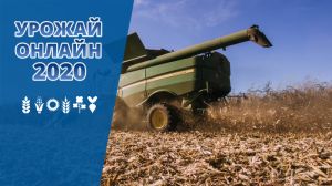 В усіх областях України розпочато збирання врожаю кукурудзи на зерно