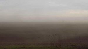 Внаслідок посухи та деградації ґрунтів на Донеччині посилились прояви пилових бур