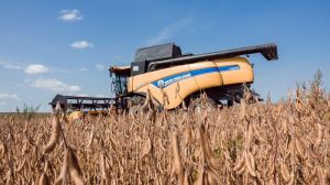 На Хмельниччині зібрано понад півтора мільйони тонн зернових та зернобобових культур