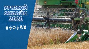 Харківщина лідирує серед областей за обсягами зібраного зерна
