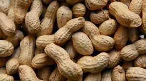 На півдні України експериментують з вирощуванням арахісу