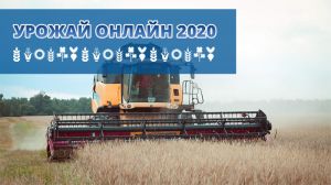 Українські аграрії зібрали близько 80% основних культур