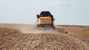На Рівненщині аграрії намолотили майже 900 тис. тонн зерна основних культур