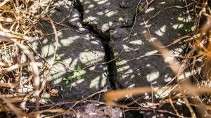 Виснажений ґрунт Полтавщини може перетворитись в сухий неродючий степ — думка