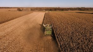 USDA прогнозує в Україні найнижчу урожайність кукурудзи за останні 8 років