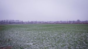 На Україну насувається справжня зима з морозами та снігом