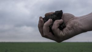 Родючість українських ґрунтів стрімко падає: науковці б’ють на сполох