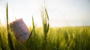 Українські аграрії недоотримують близько 500 млрд грн прибутку, — експерт