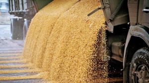 Експорт української сільгосппродукції впав на 15%