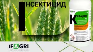 На українському ринку ЗЗР з’явиться інноваційний інсектицид Катадін