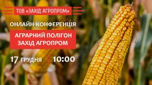 17 грудня відбудеться онлайн-конференція, присвячена результатам дослідів вирощування кукурудзи