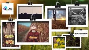 Визначено переможців конкурсу на кращі аграрні фото 2020 в 11 номінаціях