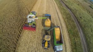 Чернігівщина встановила рекорд за урожаєм зернових