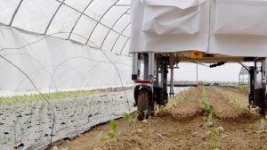 Іспанські аграрії автоматизують процес вирощування культур в теплицях за допомогою роботів