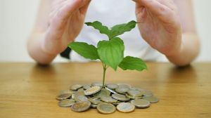 В Україні запустили міжнародний проєкт залучення додаткового фінансування в агросектор