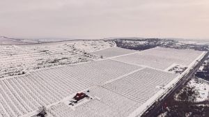 Погода в Україні буде сніжною: очікуються сильні морози та ожеледиця