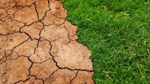 Застереження для аграріїв: Національна екологічна рада України прогнозує рекордно посушливе літо