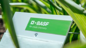 Експерти BASF розповіли про насіннєвий портфель компанії