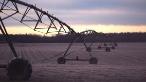 На Херсонщині ремонт мосту загрожує майбутньому урожаю: обурення аграріїв