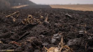 Опубліковано показники рівня вологи у ґрунті по областях України