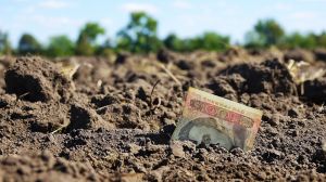 Названо середню зарплату та заборгованості в сфері АПК по Україні: березнева статистика