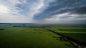 В Україні прийнято законопроєкт №5104 про запровадження агрострахування