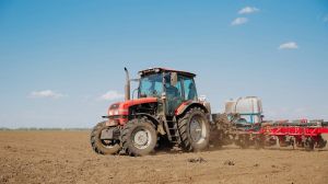 Аграрії Казахстану засіяли пшеницею 3,8 млн га: завершення посівної ярих культур