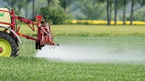 Швейцарці планують повністю заборонити використання синтетичних пестицидів