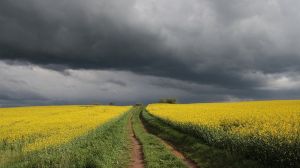Черговий потужний циклон підходить до України: штормове попередження