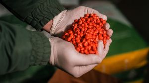 Аграрії розповіли, як вплинули на хід посівної-2021 постачальники насіння: чи був дефіцит