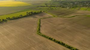 В Україні здійснили 381 земельну транзакцію: звіт щодо роботи ринку землі