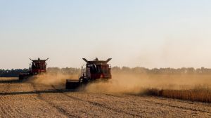 Аграрії Полтавщини зібрали понад 230 тис. тонн урожаю ранніх сільгоспкультур