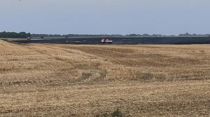 На Полтавщині горіли посіви пшениці: деталі інциденту