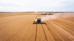 Аграрії Одещини зібрали понад 1,2 млн тонн зерна озимих зернових культур